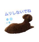 アポロちゃん2（個別スタンプ：10）