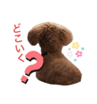 アポロちゃん2（個別スタンプ：19）