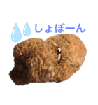 アポロちゃん2（個別スタンプ：34）