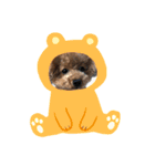 コハクちゃん2（個別スタンプ：8）