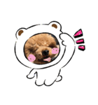 コハクちゃん2（個別スタンプ：11）