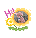 コハクちゃん2（個別スタンプ：12）