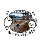 たのしい りき君（個別スタンプ：8）
