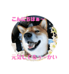 たのしい りき君（個別スタンプ：14）