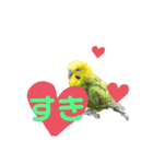 鳥っこインコ2（個別スタンプ：6）