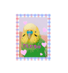 鳥っこインコ2（個別スタンプ：12）
