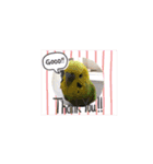 鳥っこインコ2（個別スタンプ：29）