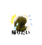 鳥っこインコ2（個別スタンプ：35）