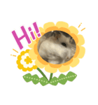 はすかちゃん（個別スタンプ：3）