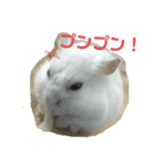 はすかちゃん（個別スタンプ：4）