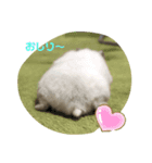 はすかちゃん（個別スタンプ：8）