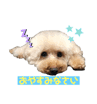 うちのこまちくんスタンプ（個別スタンプ：9）