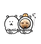 うちのこまちくんスタンプ（個別スタンプ：21）