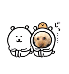 うちのこまちくんスタンプ（個別スタンプ：23）