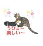 たまちゃん コメントあり（個別スタンプ：14）