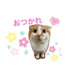 ぷりんのぷーちゃん②（個別スタンプ：5）