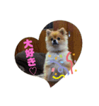 モカちゃんスタンプversion2（個別スタンプ：1）