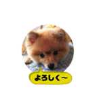 モカちゃんスタンプversion2（個別スタンプ：4）