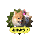 モカちゃんスタンプversion2（個別スタンプ：5）