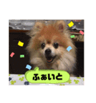 モカちゃんスタンプversion2（個別スタンプ：11）
