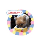 モカちゃんスタンプversion2（個別スタンプ：12）