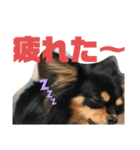 Milly 5（個別スタンプ：3）