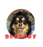 Milly 5（個別スタンプ：4）