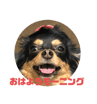Milly 5（個別スタンプ：5）