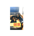 和む相鎚（個別スタンプ：1）