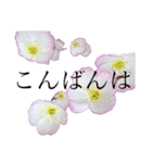 うちの庭（お花編）（個別スタンプ：4）