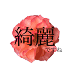 うちの庭（お花編）（個別スタンプ：8）