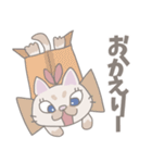 リボンの仔猫の女の子(よく使う言葉)（個別スタンプ：16）