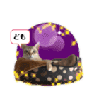 プププププーちゃん2（個別スタンプ：9）