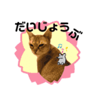 プププププーちゃん2（個別スタンプ：12）