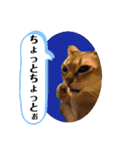 プププププーちゃん2（個別スタンプ：18）