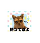 プププププーちゃん2（個別スタンプ：22）