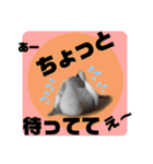 プププププーちゃん2（個別スタンプ：24）