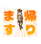 ダックスフンドのスタンプ その1（個別スタンプ：7）