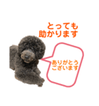 アフロだ！Noir 2（個別スタンプ：5）