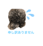 アフロだ！Noir 2（個別スタンプ：7）
