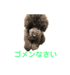 アフロだ！Noir 2（個別スタンプ：8）
