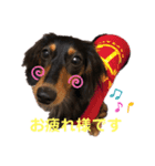 カニーヘンダックスのカピ2（個別スタンプ：2）