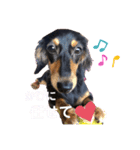 カニーヘンダックスのカピ2（個別スタンプ：7）