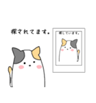 三毛猫【文字スタンプ増】（個別スタンプ：12）