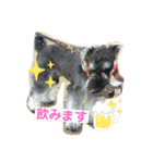 シュナンプ2（個別スタンプ：11）