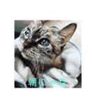 モフるがよい（個別スタンプ：2）