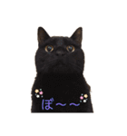 モフるがよい（個別スタンプ：7）