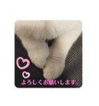 モフるがよい（個別スタンプ：14）