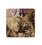 モフるがよい（個別スタンプ：15）