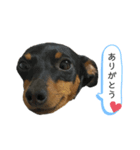 Bくんスタンプ2♡（個別スタンプ：2）